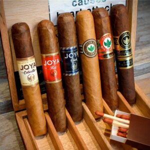 Joya de Nicaragua Robusto 6 Cigar – Sampler Box